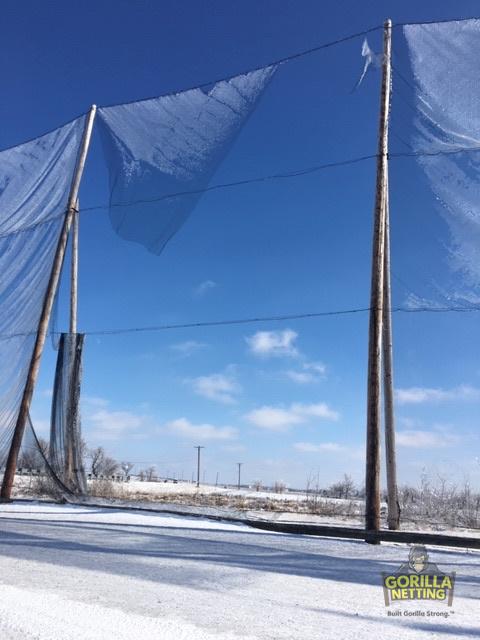 Driving Range Netting Replacement Before Pictures at Sugar Grove Golf Center